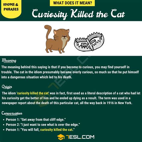 Curiosity killed the cat .
